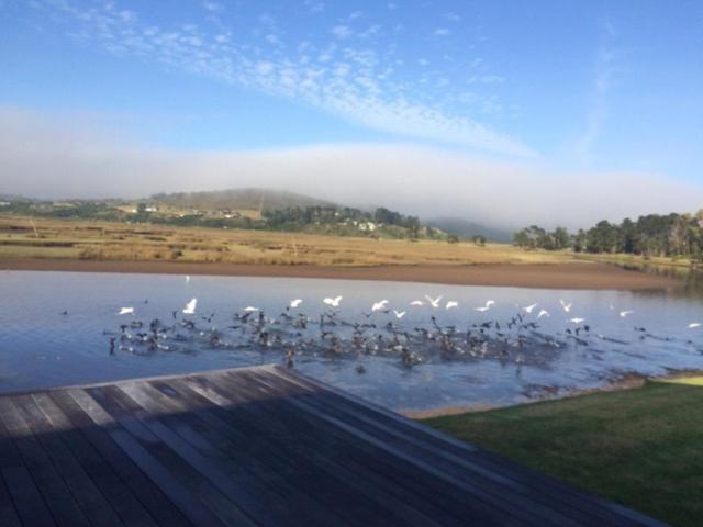 Moonriver Self Catering Plettenberg Bay Zewnętrze zdjęcie